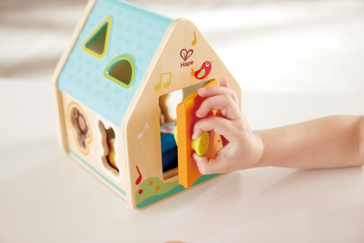 Critter House Shape Sorter - Premium for Kids in Qatar | Toysaro.com