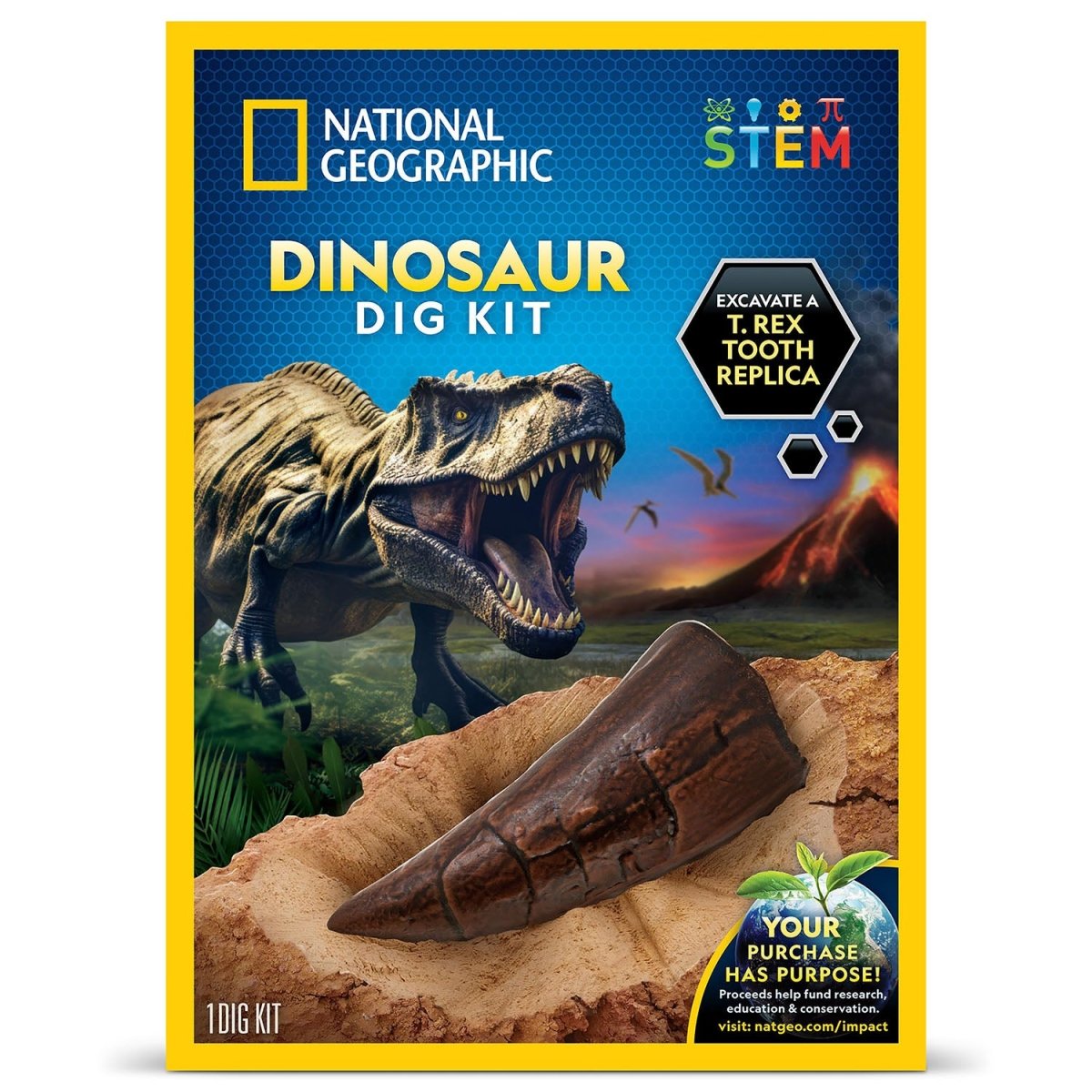NG DINO FOSSIL DIG KIT - Premium for Kids in Qatar | Toysaro.com