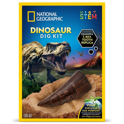 NG DINO FOSSIL DIG KIT - Premium for Kids in Qatar | Toysaro.com