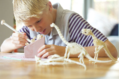 4M Kidz Labs / Triceratops Skeleton Excavation - Premium for Kids in Qatar | Toysaro.com