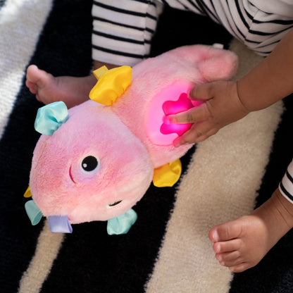 Baby Einstein™ Sea Dreams Seahorse™ Plush Soother Pink - Premium for Kids in Qatar | Toysaro.com