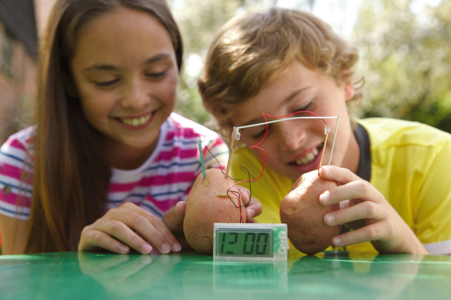 4M Kidz Labs / Green Science - Potato Clock - Premium for Kids in Qatar | Toysaro.com
