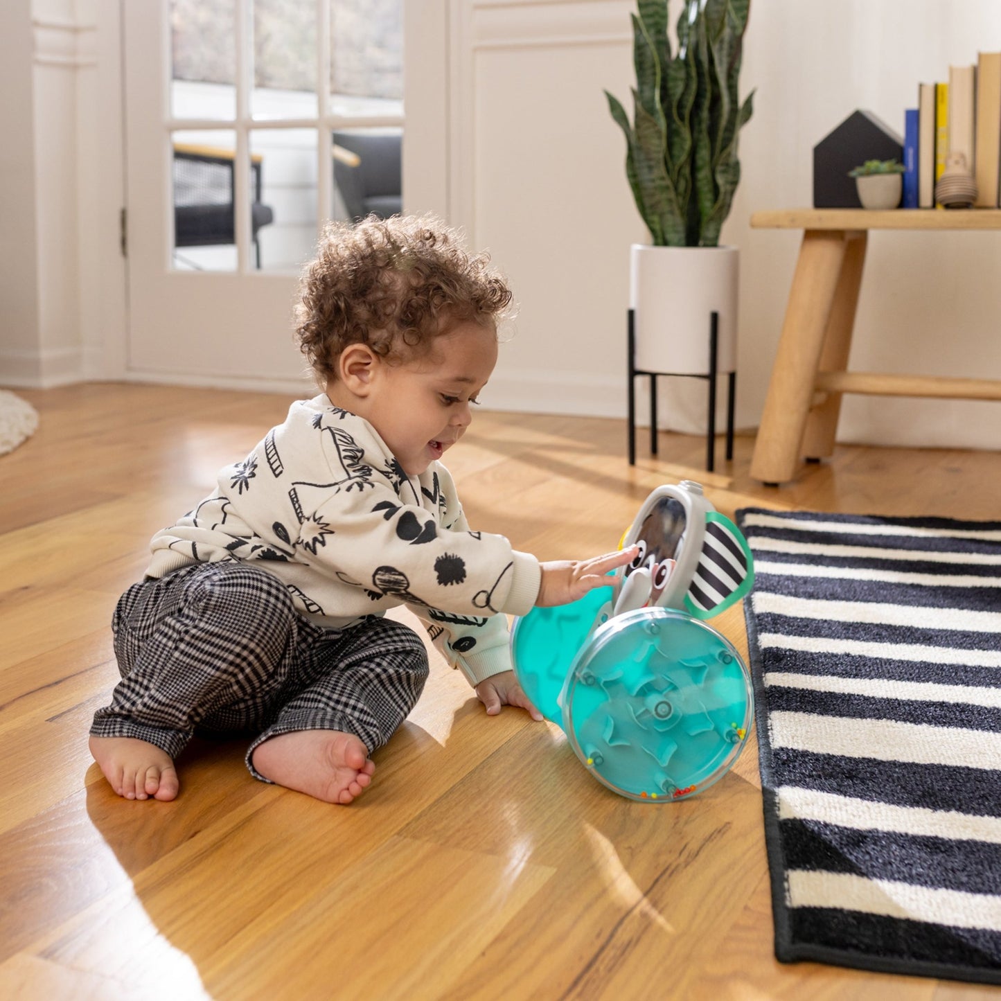Baby Einstein Chase & Tap Earl™ Interactive Crawling Toy - Premium for Kids in Qatar | Toysaro.com