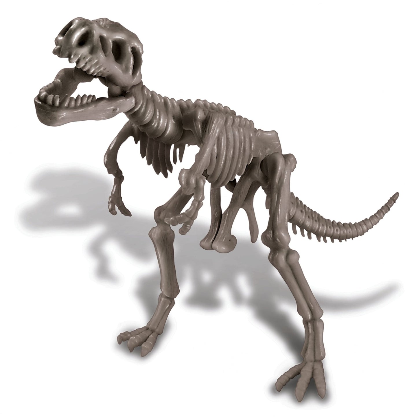 4M Kidz Labs / Tyrannosaurus rex Skeleton Excavation - Premium for Kids in Qatar | Toysaro.com