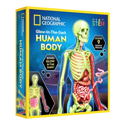 NG GLOW - IN - THE - DARK HUMAN BODY - Premium for Kids in Qatar | Toysaro.com