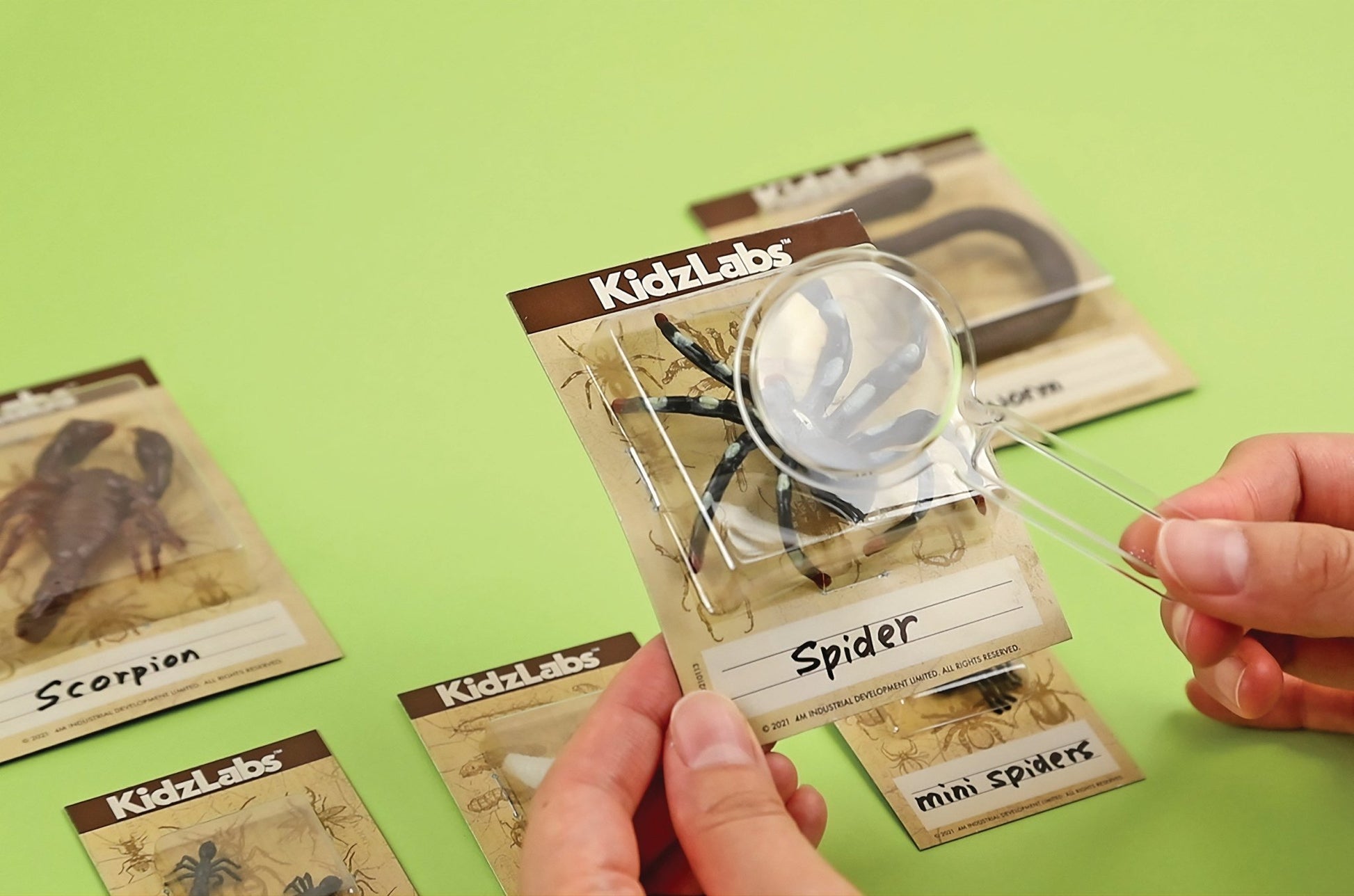 Creepy Crawly Digging Kit - Premium for Kids in Qatar | Toysaro.com