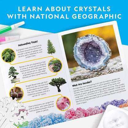 NG CRYSTAL FOREST - Premium for Kids in Qatar | Toysaro.com