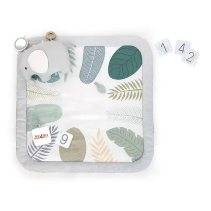 Sprout Spot™ Baby Milestone Play Mat - Premium for Kids in Qatar | Toysaro.com