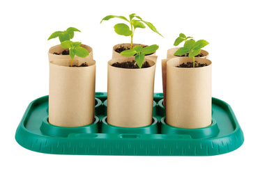Hape Growing Gardener Mini Bamboo Green House - Premium for Kids in Qatar | Toysaro.com