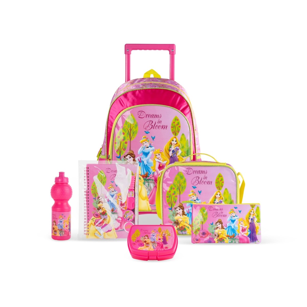 Disney Princess Dreams In Bloom 6in1 Box Set 18" - Premium for Kids in Qatar | Toysaro.com