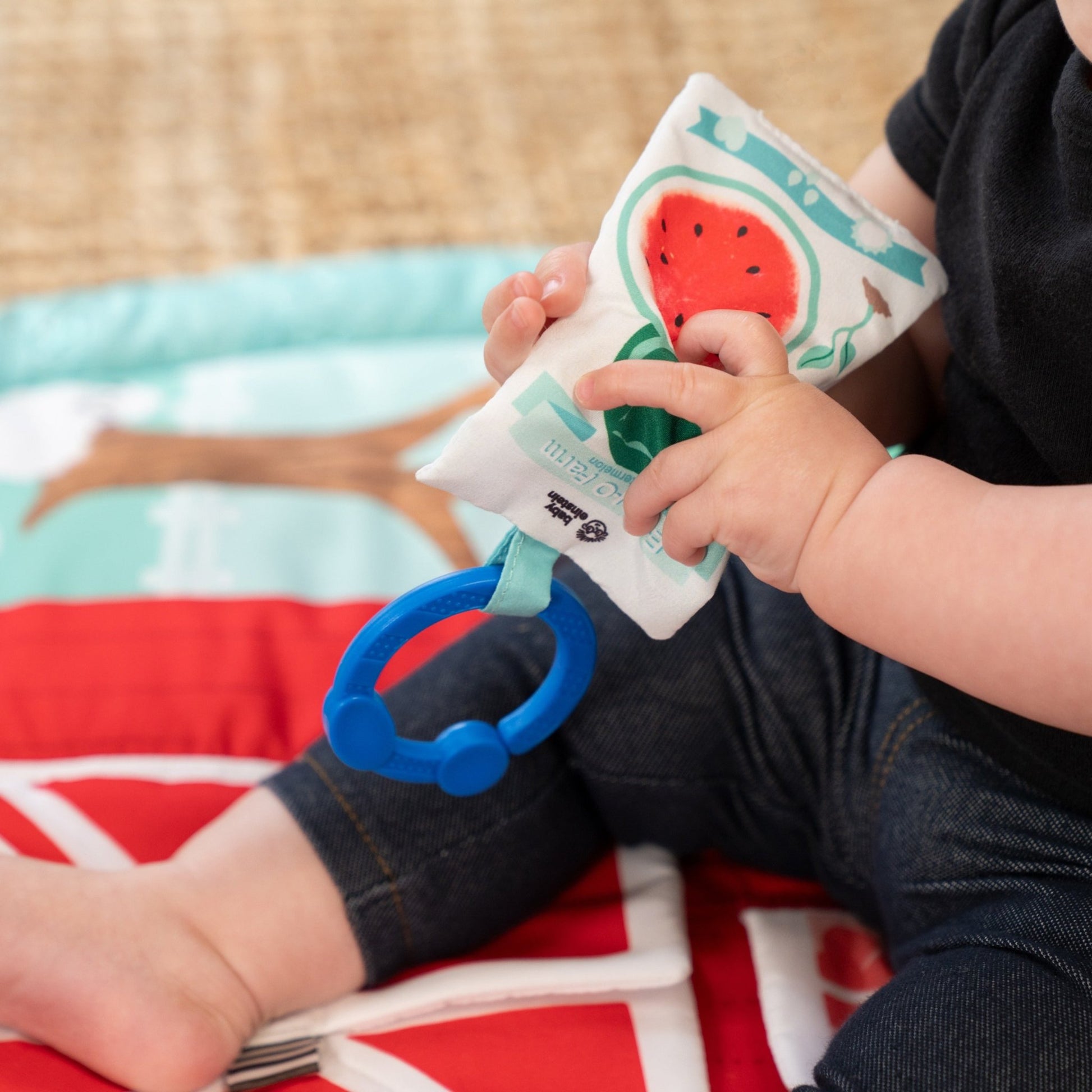 Baby Einstein™ Happy Harvest™ Touch & Feel Activity Gym - Premium for Kids in Qatar | Toysaro.com