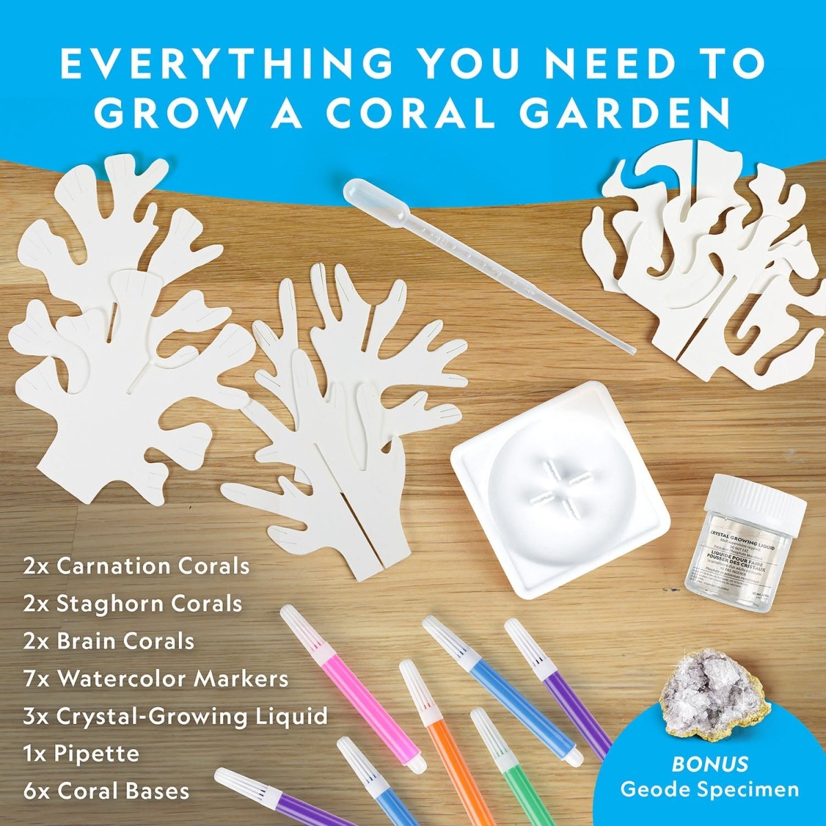 NG CRYSTAL REEF CORAL GROWING LAB - Premium for Kids in Qatar | Toysaro.com