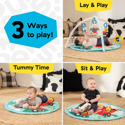 Baby Einstein™ Happy Harvest™ Touch & Feel Activity Gym - Premium for Kids in Qatar | Toysaro.com