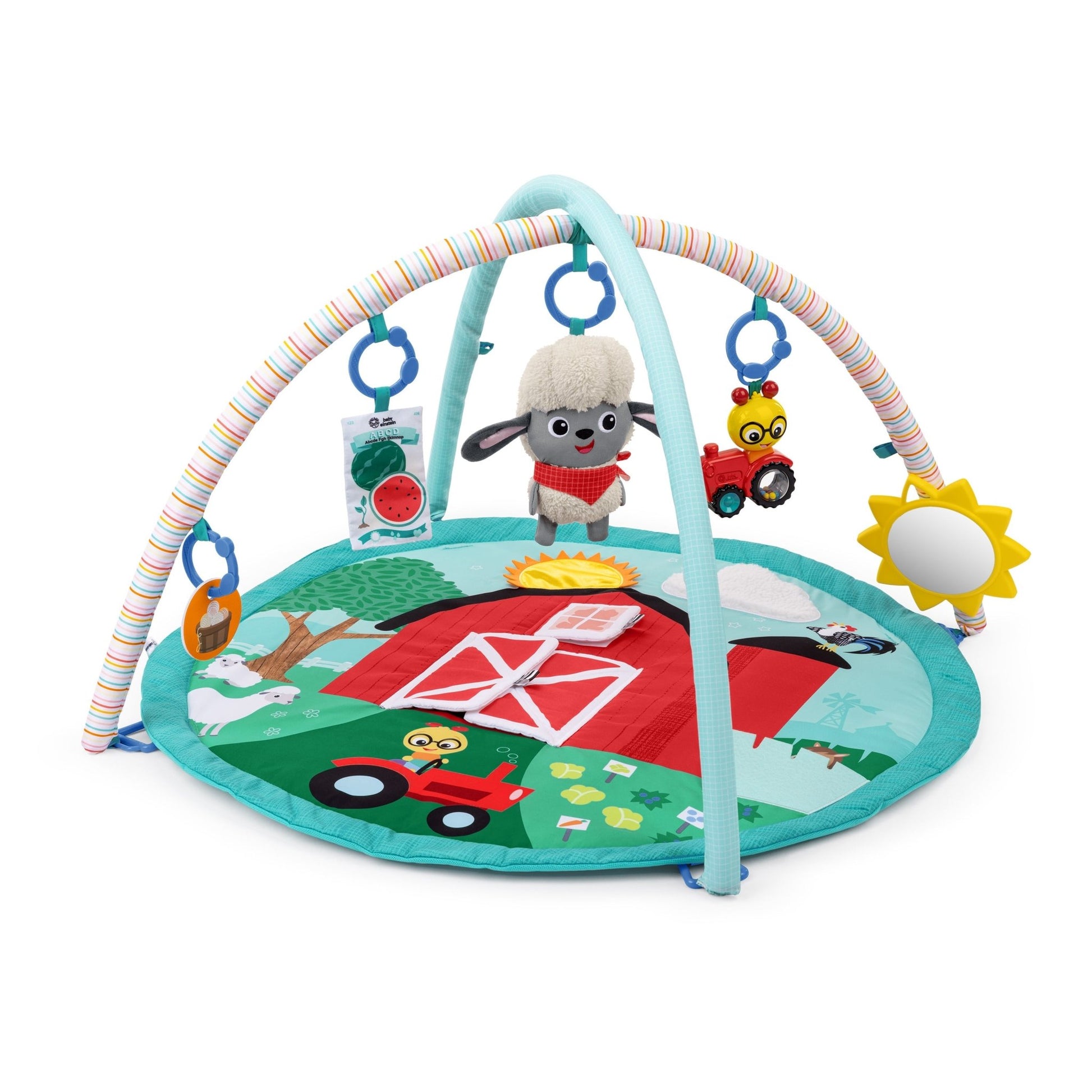 Baby Einstein™ Happy Harvest™ Touch & Feel Activity Gym - Premium for Kids in Qatar | Toysaro.com
