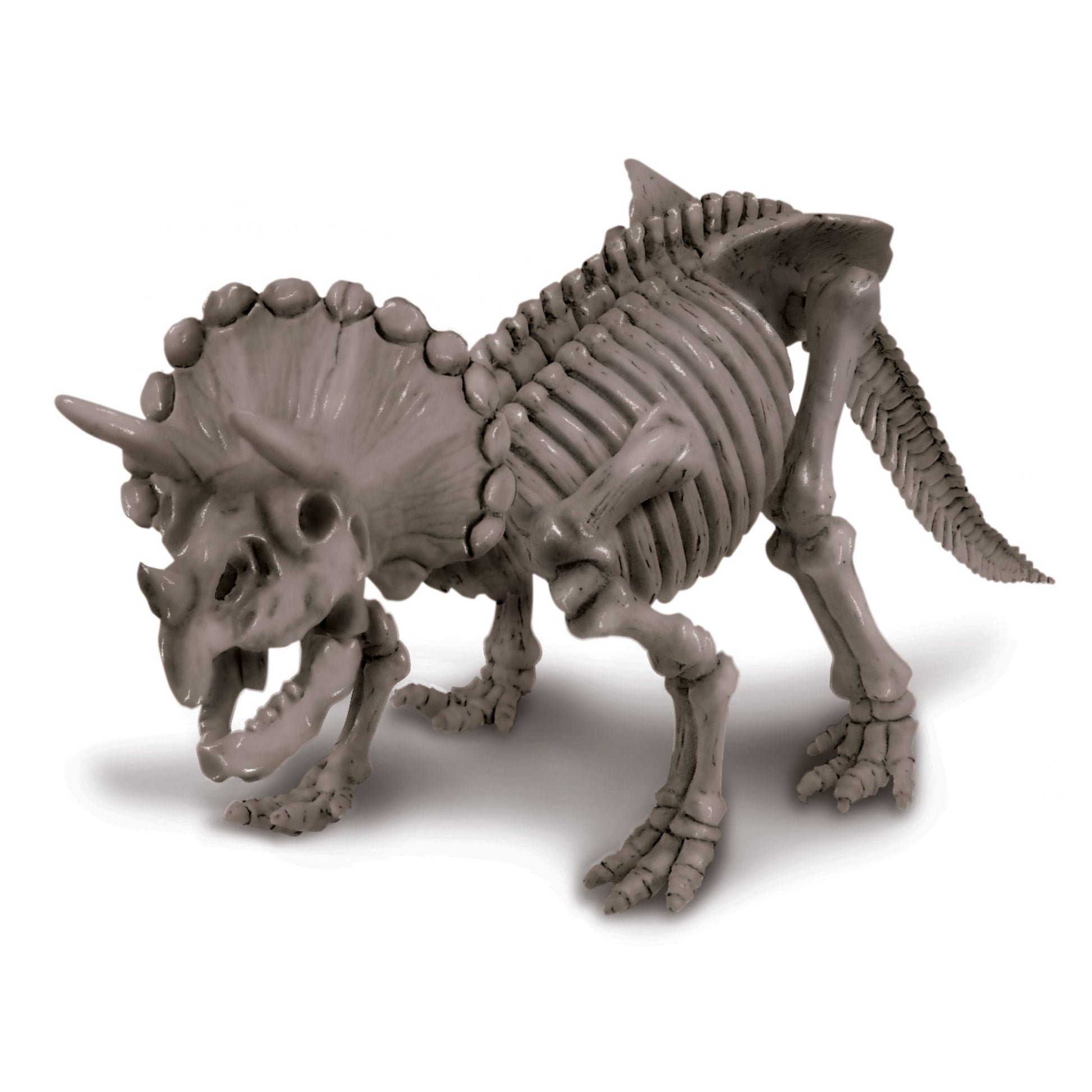 4M Kidz Labs / Triceratops Skeleton Excavation - Premium for Kids in Qatar | Toysaro.com