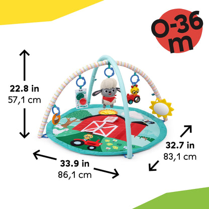 Baby Einstein™ Happy Harvest™ Touch & Feel Activity Gym - Premium for Kids in Qatar | Toysaro.com