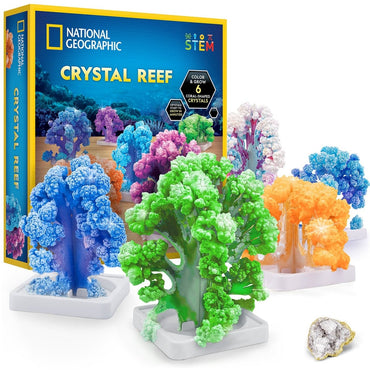 NG CRYSTAL REEF CORAL GROWING LAB - Premium for Kids in Qatar | Toysaro.com