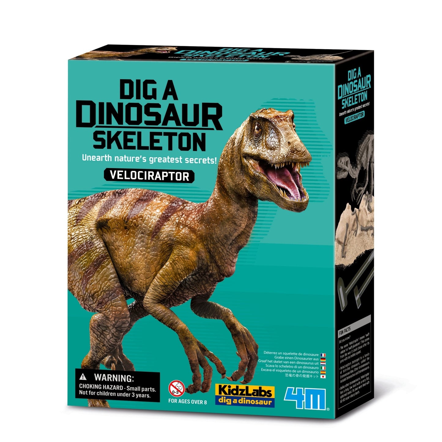 4M Kidz Labs / Velociraptor Skeleton Excavation - Premium for Kids in Qatar | Toysaro.com