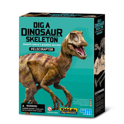 4M Kidz Labs / Velociraptor Skeleton Excavation - Premium for Kids in Qatar | Toysaro.com