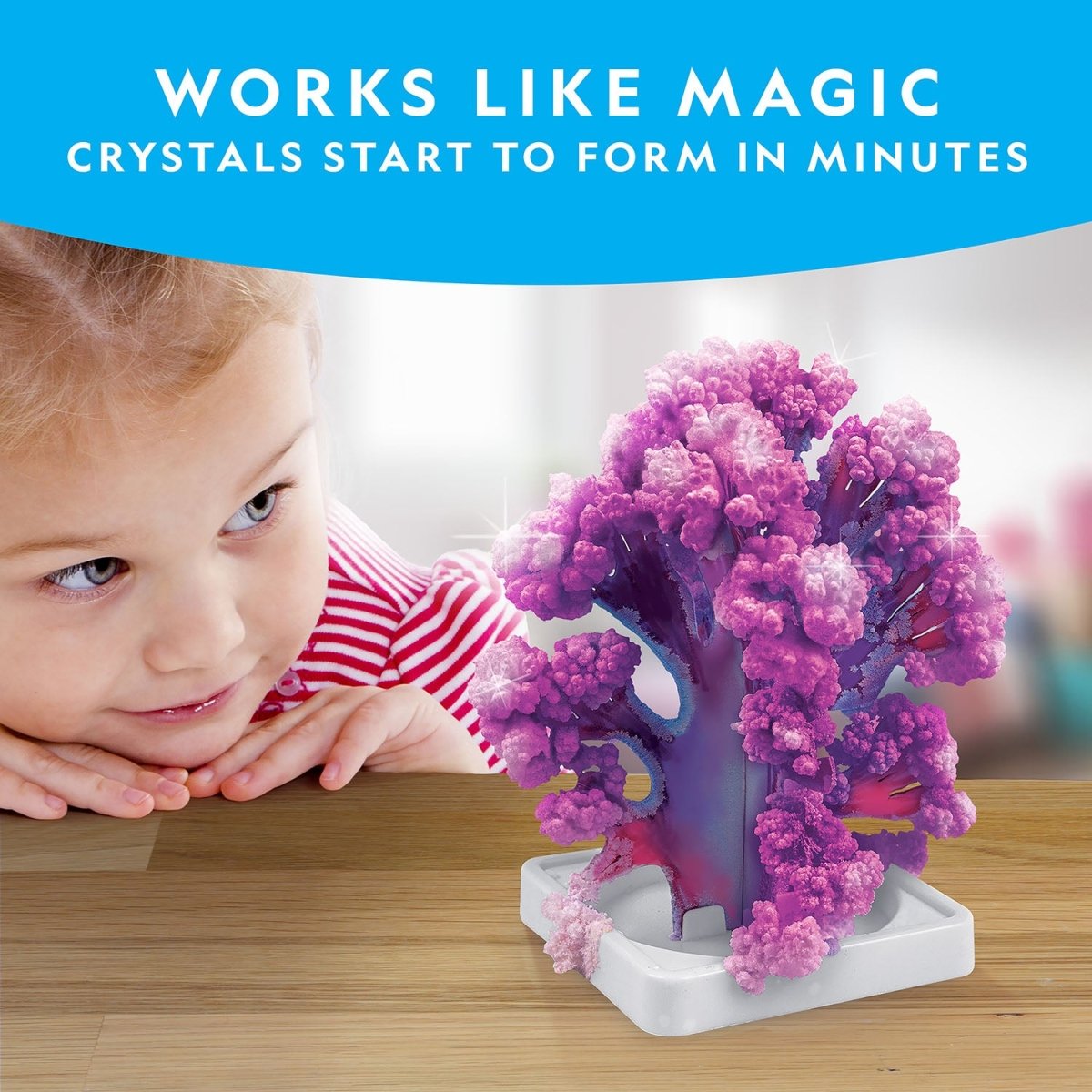 NG CRYSTAL REEF CORAL GROWING LAB - Premium for Kids in Qatar | Toysaro.com