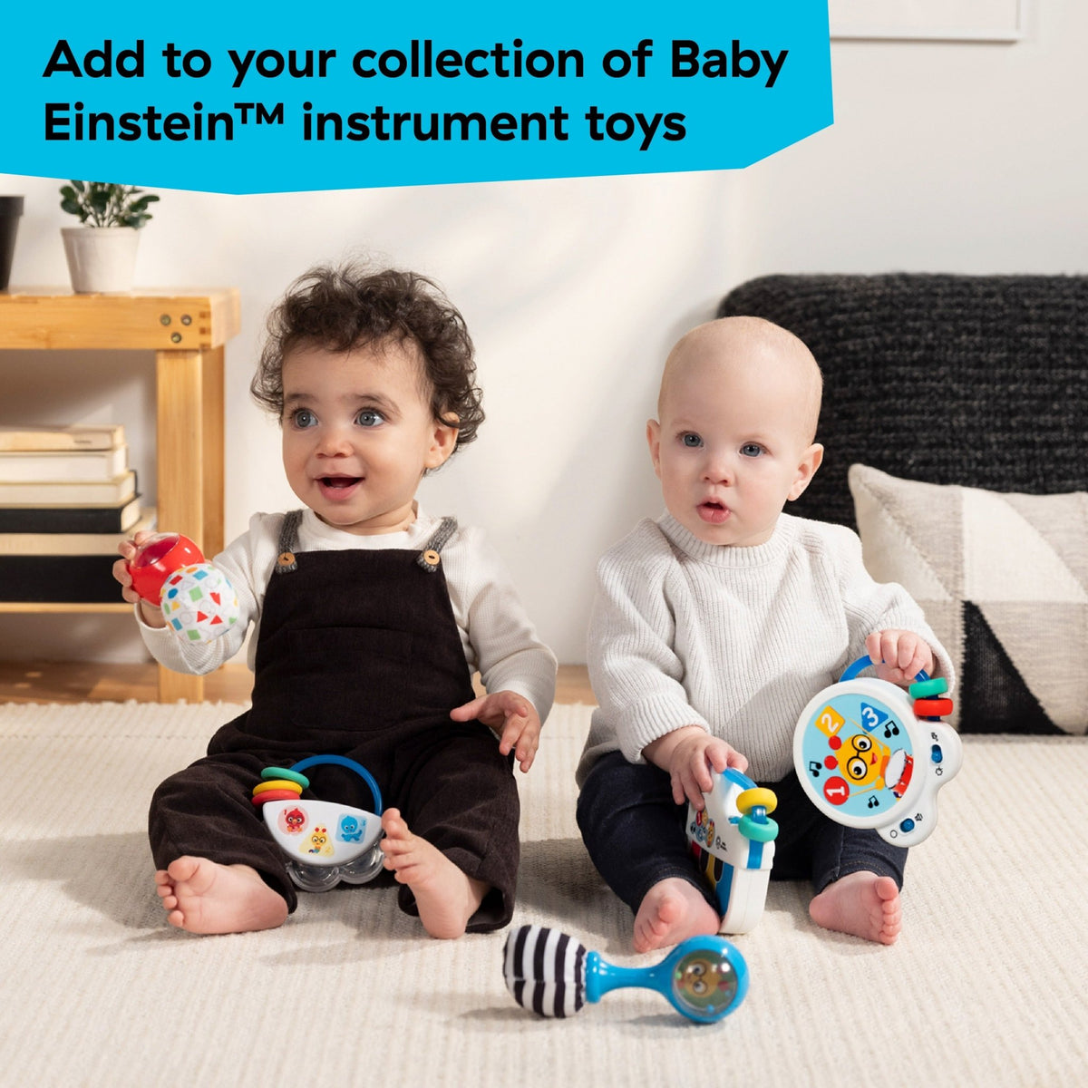 Baby Einstein™ Shake & Groove™ Toy Maracas - Premium for Kids in Qatar | Toysaro.com